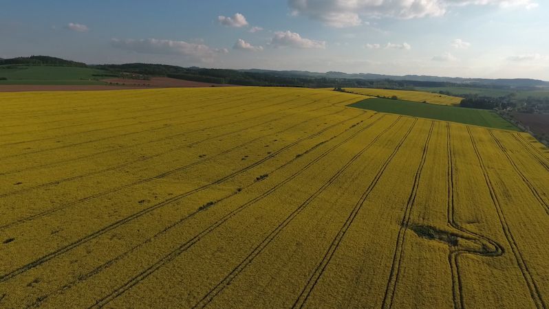 Státní Čepro koupilo od Agrofertu bez soutěže biopaliva za pět miliard